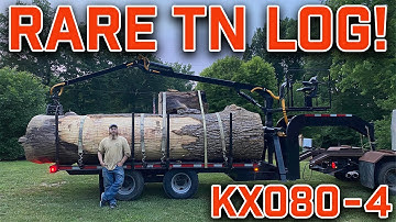 Kubota KX080 Excavator: Loading RARE TN Logs!