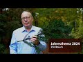 Jahresthema ZüriBaum