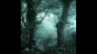 картинка: дорогой человек - sped up
