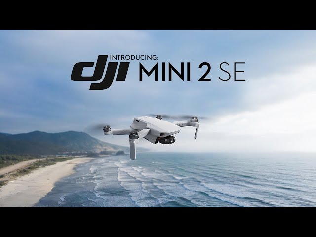 Just Announced: DJI Mini 2 SE | Make Your Moments Fly