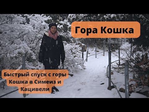 Зимняя прогулка к горе Кошка в Симеизе | Быстрый спуск на пятой точке