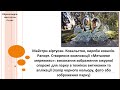 Образотворче мистецтво 4 клас за підручником О Калініченко Л Аристова