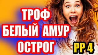 Как закрыть АМУРА на оз. ОСТРОГ? ● Русская Рыбалка 4 | РР4