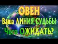 ОВЕН ♈ Ваша ЛИНИЯ СУДЬБЫ Чего ВАМ ОЖИДАТЬ гадание онлайн Angel Tarot