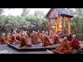 Pali chanting in the abhayagiri buddhist monastery  theravada buddhism
