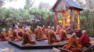 Pali Chanting In The Abhayagiri Buddhist Monastery | Theravada Buddhism