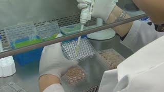 Developments in new HIV treatments show promising results after third person has been cured of HIV