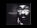 Tarrus Riley She is Royal Acoustic version.