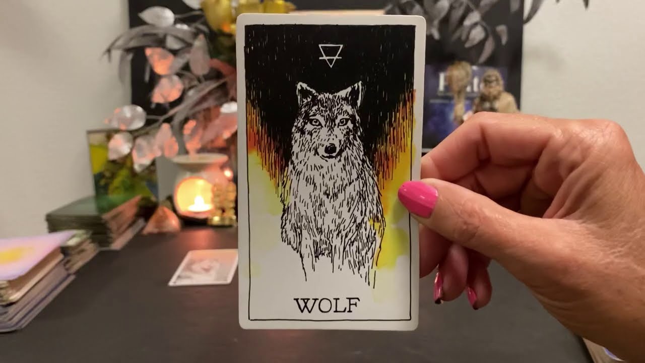 Aquarius: The perfect match (Timeless)