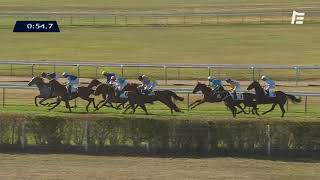 Vidéo de la course PMU PRIX DU PASSAGE