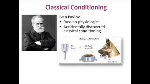 Exploring Psych Ch 7 Learning Theory