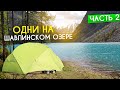 Алтай. Одни на Шавлинском озере. Медведи Левой Шавлы. Часть 2