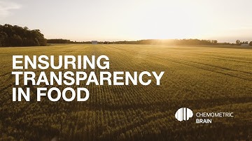 Chemometric Brain. Ensuring transparency in food