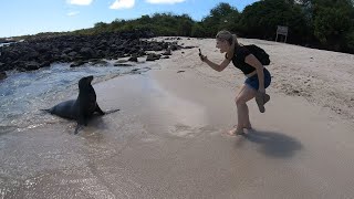 Galapagos - Diving a bit in 2019