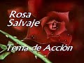 Rosa Salvaje - Tema de Acción (Alta Calidad)