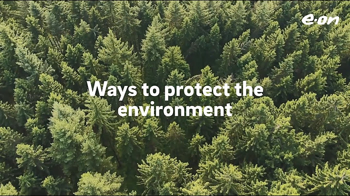 Ways to help protect the environment - E.ON
