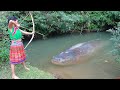 Top 10 Video Skills Catching Big Fish At The River - Cooking Fish For Survival