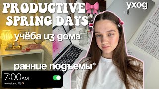 МОИ ПРОДУКТИВНЫЕ ДНИ весной🎀 ОНЛАЙН ОБУЧЕНИЕ + ранние подъемы