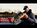 Perch Fishing with Creaturebaits - Westin-Fishing