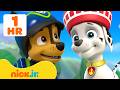Учимся спокойствию со Щенячьим патрулём! 💆 • 1 час | Nick Jr. Cyrillic