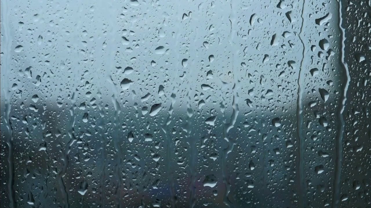 ASMR Rain & Thunder Sounds - Wind #rain #asmr #viral #fyp #thunder #wind #youtube #satisfying