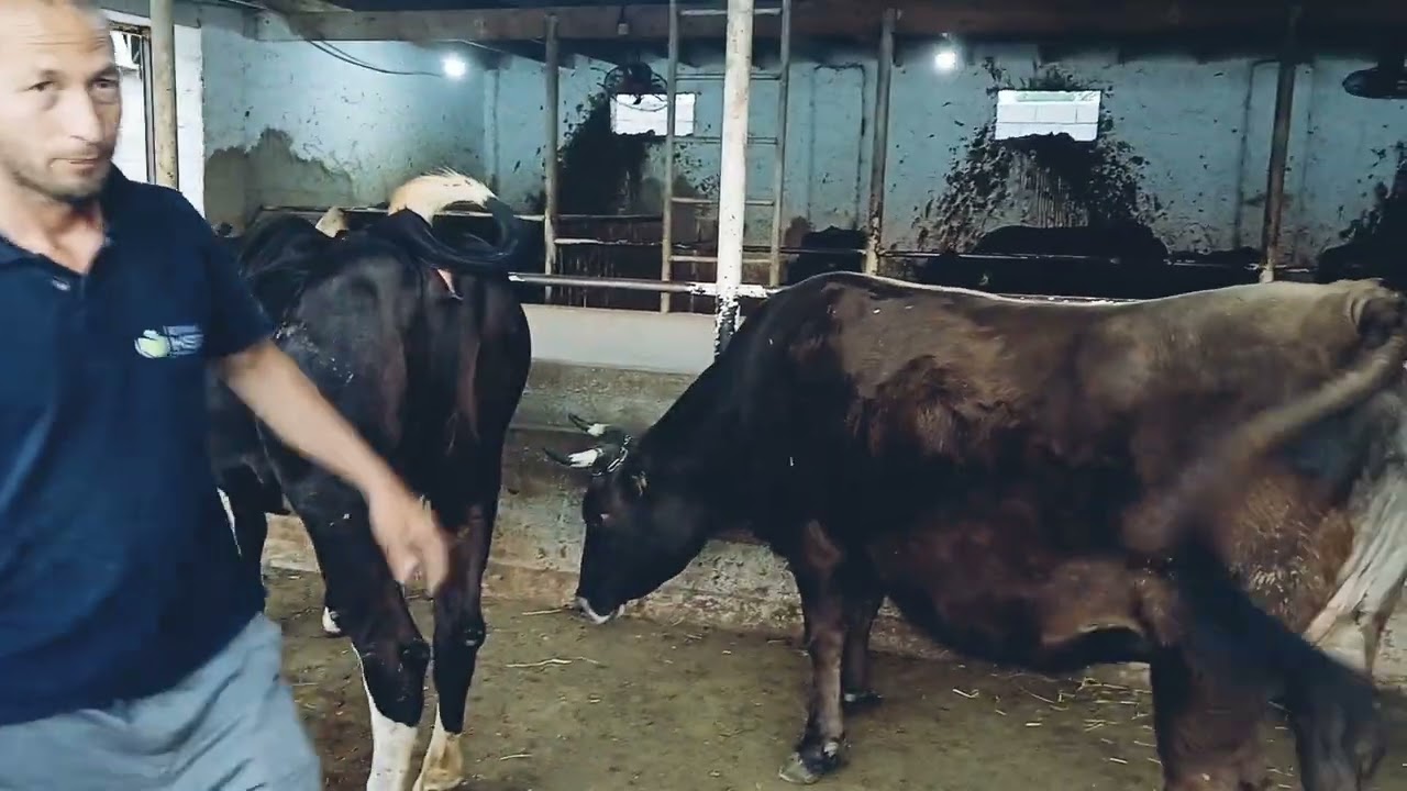 Факат дасгирира фаромуш намекнем