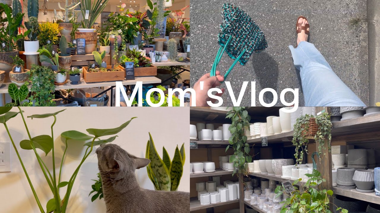 #133【猫と暮らす主婦vlog】福岡の園芸店巡り・観葉植物を買う日常