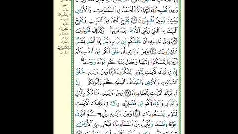الصفحة (406) من المصحف الشريف ( سورة الروم - مشروع حفظ القرآن الكريم )