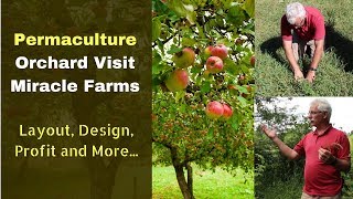 How to Start a Permaculture Orchard | Organic Miracle Farms | Layout, Deign, Profit and More...