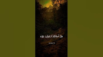 قل الحمد لله – تلاوة القرآن بصوت عبد الرحمن مسعد مؤثرة وقوية 😌🤍