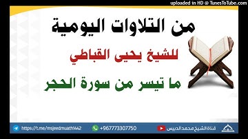 ما تيسر من سورة الحجر | الشيخ يحيى القباطي