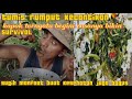 Mukbang tumis rumput kecantikan bikin ongkek INGAT pokonya jangan di COBA !!!