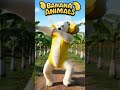 Cat dance #catdance #dogdance #petdance #animaldance #trend #meow #funnydance
