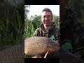 His done it again 28-5 what a fish 🤯