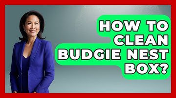 How To Clean Budgie Nest Box? - Bird Watching Diaries