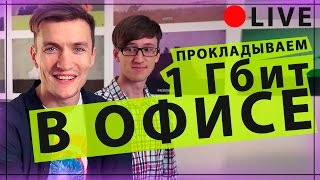 1Гбит Сеть в Офисе - Liveblog на Keddr.com