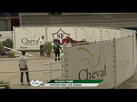 N 402 Iguazu Tame Ventes Elites NASH 2021