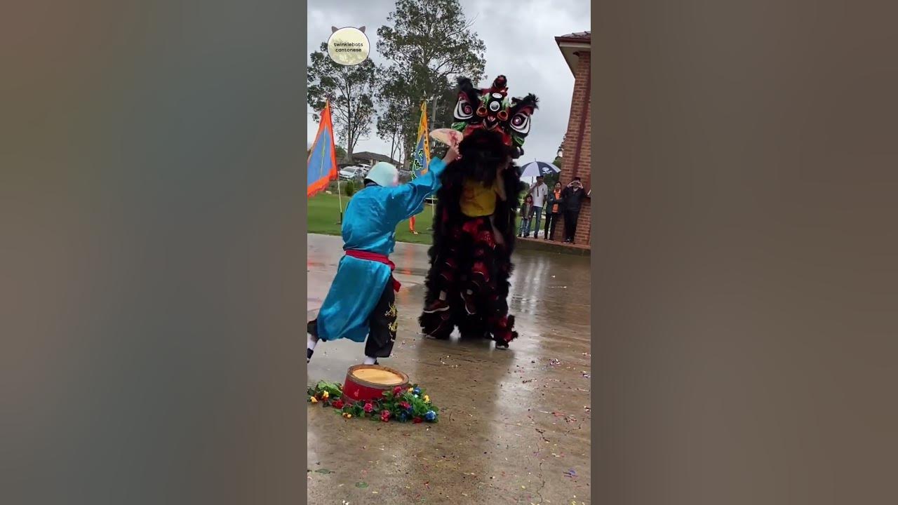 #liondance #chinesenewyear2023 #lunarnewyear