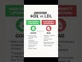 HDL vs LDL | Good Cholesterol vs Bad Cholesterol Explained in Simple Words 🫀| Doctor Facts #viral