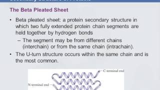 3B 9.11 Secondary Structure of Proteins
