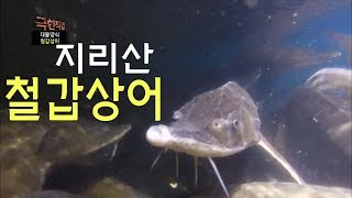 지리산에서 철갑상어 기르는 청년! 그 후...