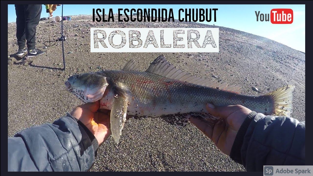 Robalera en sector de Isla Escondida Chubut