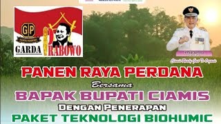 Panen Raya Perdana Bersama Bapak Bupati Ciamis Dg Penerapan Paket Teknologi Biohumicrayuciamis4315