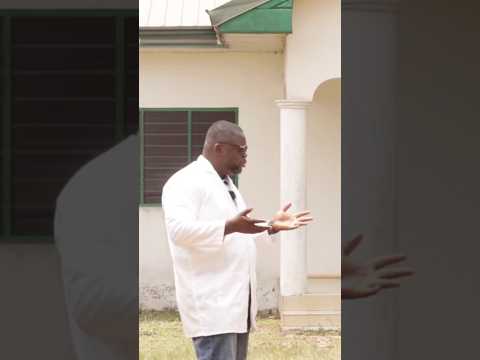 Why Black Soldier Fly Farming is a Profitable Business