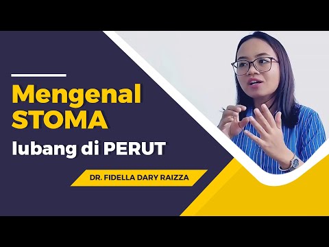 Video: Massa Di Perut, Esofagus, Dan Usus Ferret