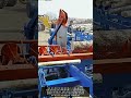 통나무가 순식간에 절단되는 자동 원목 절단기 #worker #workers
