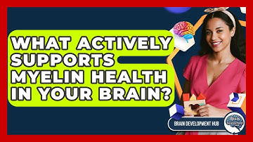 What Actively Supports Myelin Health In Your Brain? - Brain Development Hub
