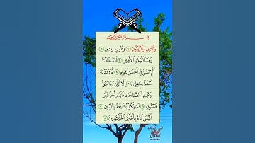 سورة التين #القرآن_الكريم #سورة_التين