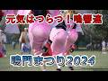 【阿波踊り2024】鳴門のまつりで大学生が見せます 鳴響連