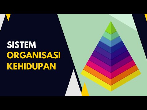 Video: Organisme Hidup